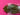 670dca8034be6e479edf2839_img-9471_1786984532410.jpeg
