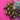 670dca8034be6e479edf2839_img-9472_1786984532411.jpeg