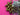 670dca8034be6e479edf2839_img-9472_1786984532411.jpeg