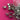 670dca8034be6e479edf2839_img-9477_1786984695044.jpeg