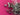 670dca8034be6e479edf2839_img-9477_1786984695044.jpeg