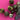 670dca8034be6e479edf2839_img-9479_1786984833466.jpeg