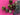 670dca8034be6e479edf2839_img-9479_1786984833466.jpeg