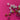670dca8034be6e479edf2839_img-9492_1786985365483.jpeg