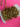 670dca8034be6e479edf2839_img-9530_1786996181714.jpeg
