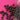 670dca8034be6e479edf2839_img-9553_1787081098947.jpeg