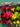670dca8034be6e479edf2839_img-9553_1788801980209.jpeg
