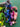 670dca8034be6e479edf2839_img-9555_1788801980209.jpeg