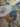 670dca8034be6e479edf2839_img-9642_1789076157991.jpeg