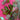 670dca8034be6e479edf2839_img-9669_1787583118241.jpeg