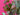 670dca8034be6e479edf2839_img-9669_1787583118241.jpeg