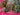 670dca8034be6e479edf2839_img-9670_1787583118242.jpeg