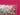 670dca8034be6e479edf2839_img-9675_1787582722010.jpeg