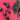 670dca8034be6e479edf2839_img-9680_1787582958299.jpeg