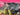 670dca8034be6e479edf2839_img-9684_1787585333119.jpeg
