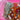 670dca8034be6e479edf2839_img-9699_1787681554403.jpeg