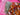 670dca8034be6e479edf2839_img-9699_1787681554403.jpeg