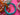 670dca8034be6e479edf2839_img-9700_1787681554403.jpeg