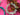 670dca8034be6e479edf2839_img-9701_1787681554404.jpeg