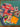 670dca8034be6e479edf2839_img-9718_1789485551600.jpeg