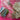 670dca8034be6e479edf2839_img-9721_1787685162114.jpeg