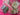 670dca8034be6e479edf2839_img-9721_1787685162114.jpeg