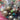 670dca8034be6e479edf2839_img-9727_1787685334056.jpeg