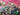 670dca8034be6e479edf2839_img-9729_1787685334056.jpeg