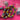 670dca8034be6e479edf2839_img-9746_1787764820949.jpeg