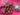 670dca8034be6e479edf2839_img-9746_1787764820949.jpeg