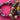 670dca8034be6e479edf2839_img-9747_1787764820950.jpeg