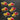 670dca8034be6e479edf2839_img-9751_1754694139961.jpeg