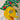 670dca8034be6e479edf2839_img-9757_1789486840993.jpeg