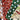 670dca8034be6e479edf2839_img-9761-2_1754692591106.jpeg