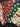 670dca8034be6e479edf2839_img-9761-2_1754692591106.jpeg