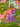 670dca8034be6e479edf2839_img-9763_1789486989171.jpeg