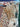 670dca8034be6e479edf2839_img-9769_1789508186186.jpeg
