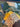 670dca8034be6e479edf2839_img-9780_1789508382130.jpeg