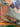 670dca8034be6e479edf2839_img-9781_1789508382130.jpeg