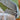 670dca8034be6e479edf2839_img-9793_1789509428439.jpeg