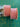 670dca8034be6e479edf2839_img-9822_1789510518027.jpeg