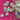 670dca8034be6e479edf2839_img-9865_1788385207847.jpeg
