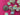 670dca8034be6e479edf2839_img-9866_1788385207849.jpeg