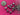 670dca8034be6e479edf2839_img-9907_1788455506069.jpeg