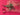 670dca8034be6e479edf2839_img-9908_1788455295726.jpeg