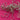 670dca8034be6e479edf2839_img-9935_1788562064479.jpeg