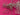 670dca8034be6e479edf2839_img-9935_1788562064479.jpeg