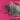 670dca8034be6e479edf2839_img-9937_1788562169948.jpeg