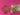670dca8034be6e479edf2839_img-9940_1788562250975.jpeg