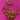 670dca8034be6e479edf2839_img-9941_1788562250977.jpeg